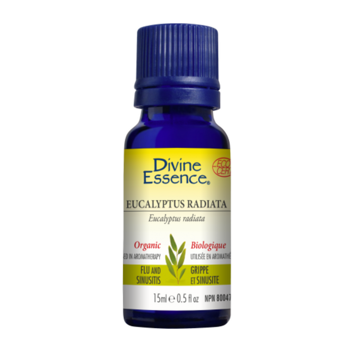 Eucalyptus Radiata Organic Essential Oil 30ml Divine Essence