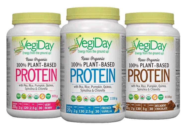 Plant Based Protein Powder VegiDay