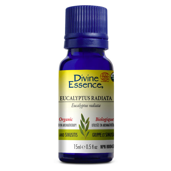 Divine Essence Organic Eucalyptus Radiata Essential Oil