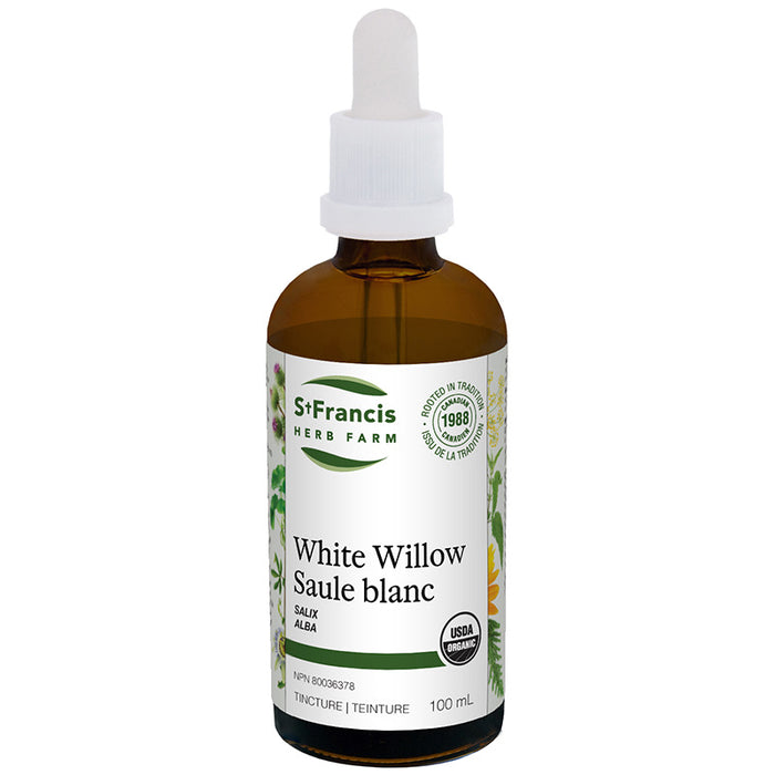St Francis White Willow