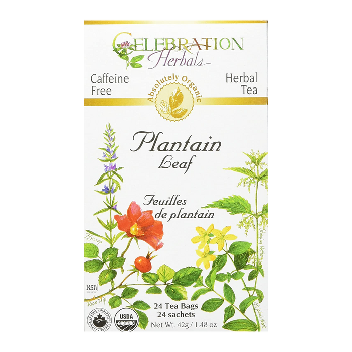 Plantain Leaf Herbal Tea 24 Tea Bags Celebration Herbals
