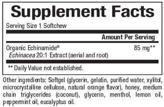 Echinamide Quick-Blast Throat & Sinus Relief 30 Softgels Natural Factors