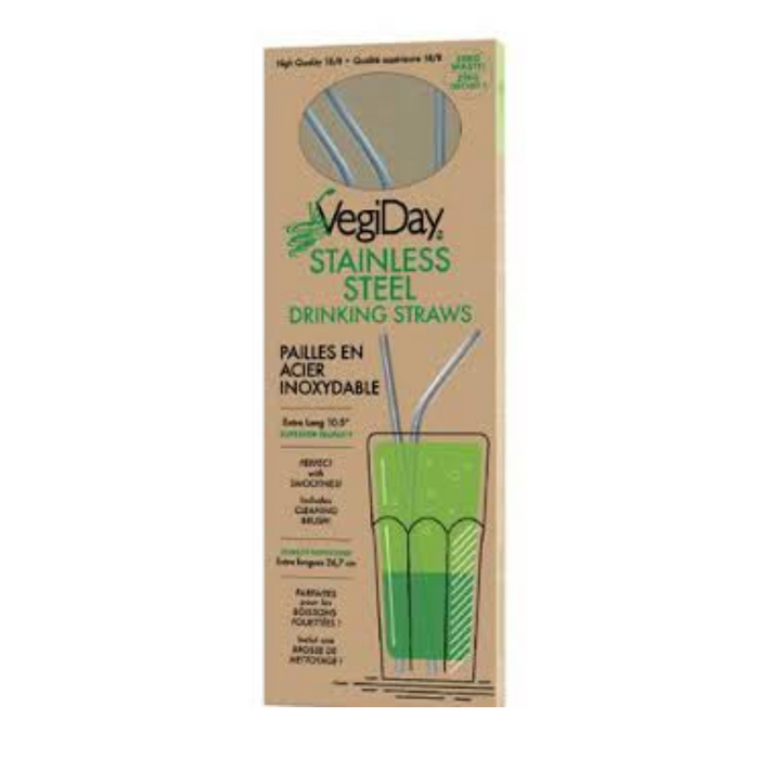 VegiDay Stainless Steel Drinking Straws - Pack of 4